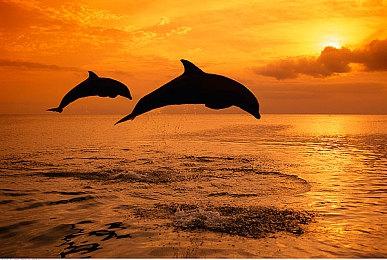 经典迷宫RPG《剑与魔法与学园3》将推出强化版